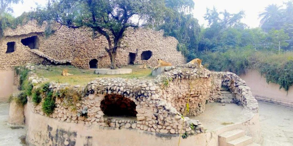 Lucknow Zoo, Lucknow, Uttar Pradesh - Vushii.com